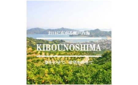 【2027年2月中旬頃から順次発送】【甘平】希望の島 甘平(かんぺい) 家庭用 約3kg 愛媛県松山市【FT033_x】
