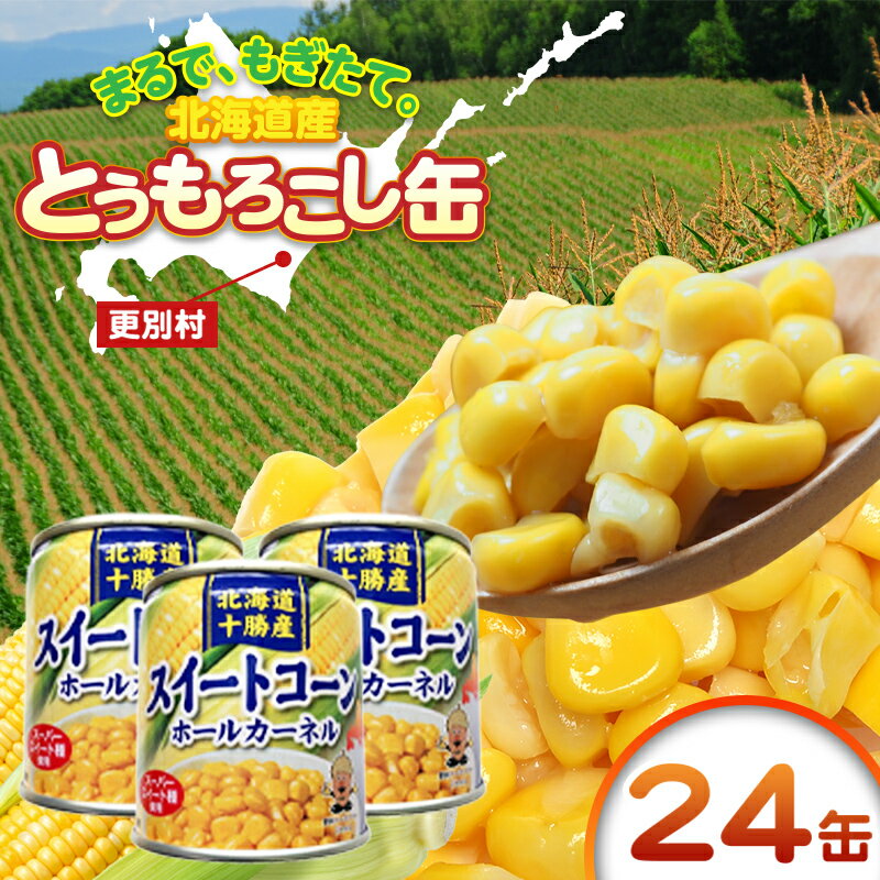 【ふるさと納税】北海道十勝更別村 スイートコーン(缶詰) 24個 F21P-087