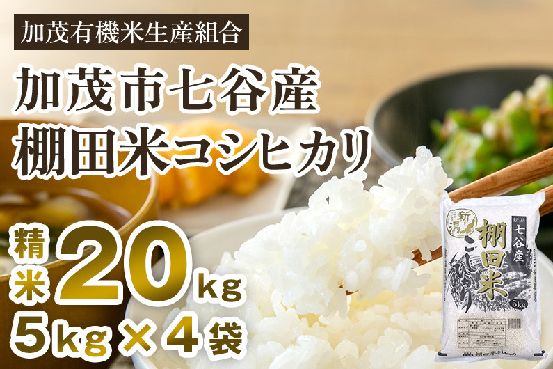 
            【令和7年産新米先行予約】新潟県加茂市 七谷産 棚田米コシヒカリ 精米20kg（5kg×4） 《10月中旬から順次出荷》 白米 加茂有機米生産組合
          
