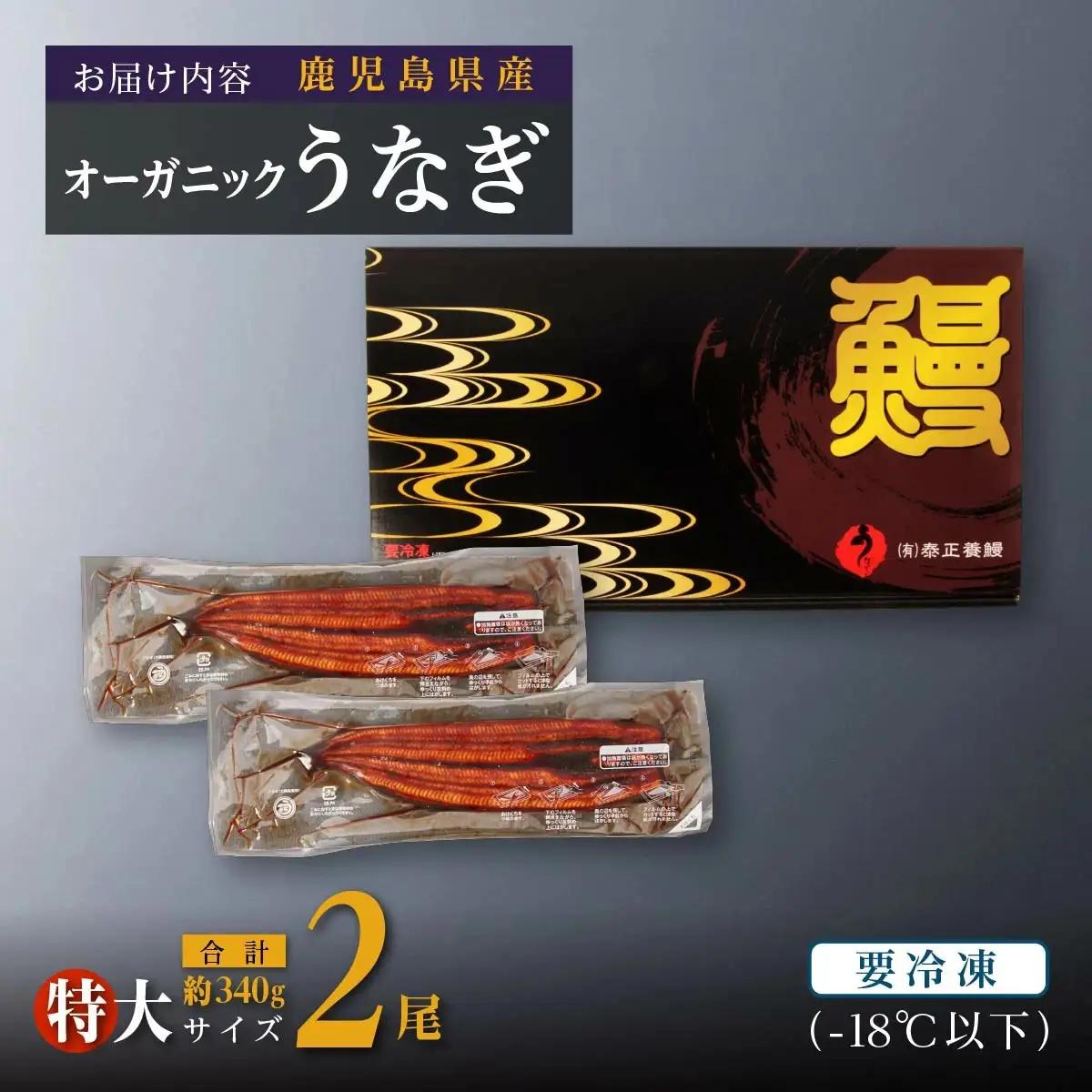 泰正オーガニック うなぎ 蒲焼　特大2尾　| うなぎ