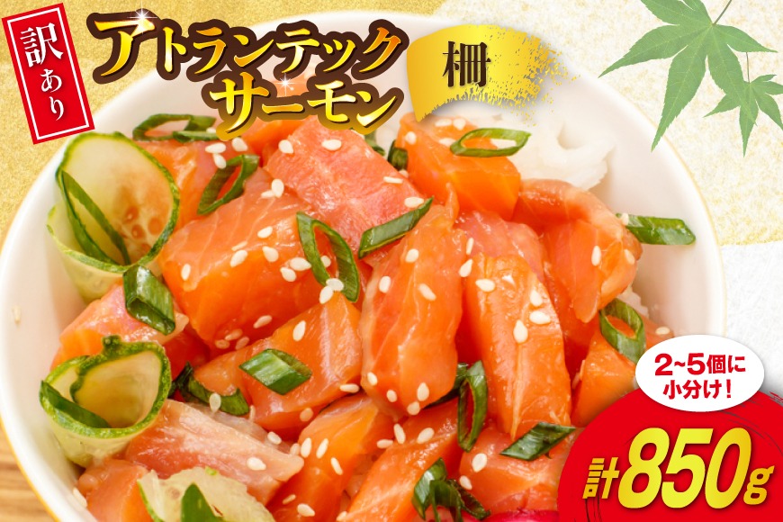 訳あり ノルウェー産 アトランティック サーモン 尾っぽ 850g 柵 おさしみ用 無添加 個包装 [足利本店 宮城県 気仙沼市 20565613] 鮭 さけ サケ サーモン 生食用 おつまみ おかず 冷凍 鮮魚 小分け アトランティックサーモン アトランサーモン