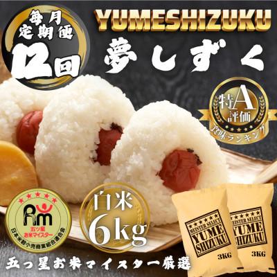 ふるさと納税 多久市 【毎月定期便】夢しずく白米6kg(3kg×2袋)(多久市)全12回