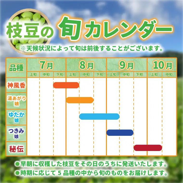 採れたて枝豆 1kg (250g×4袋) 2026年産 (DI008)