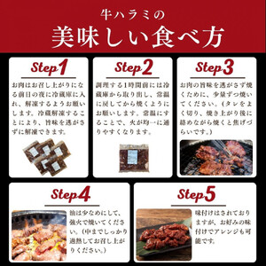 訳あり 牛ハラミ 特製たれ漬 600g【順次発送】 ハラミ