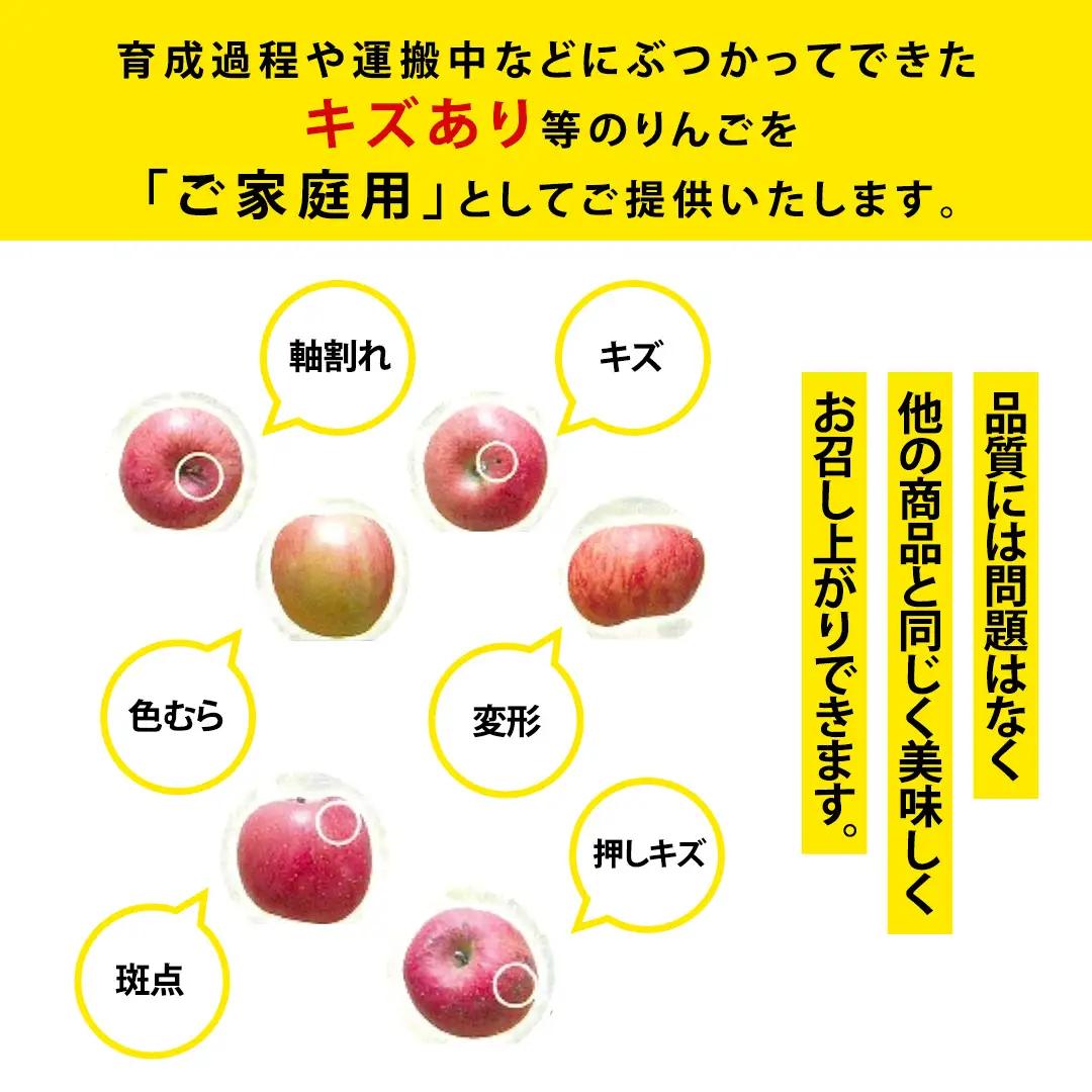 【ご家庭用】りんご 品種おまかせ 2種Mix 3kg（6～11玉） (FH001)