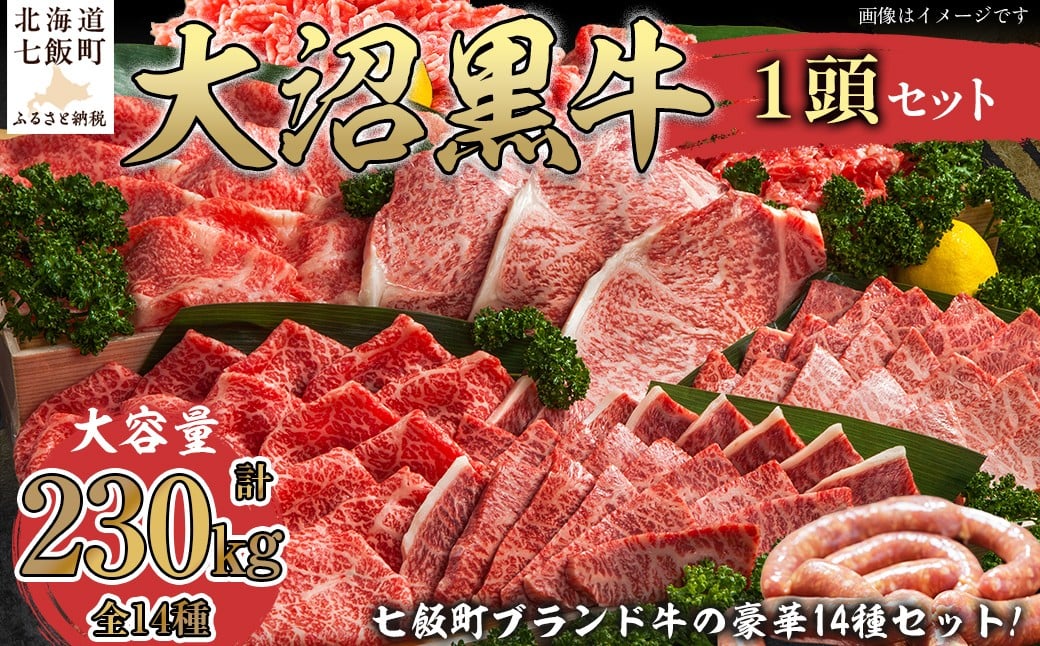 
            大沼黒牛　1頭 【ふるさと納税 人気 おすすめ ランキング 北海道ブランド牛 大沼黒牛 黒毛和牛 冷凍 ステーキ すき焼き しゃぶしゃぶ 牛丼 焼肉 挽肉 おいしい 北海道 七飯町】 NAM009
          