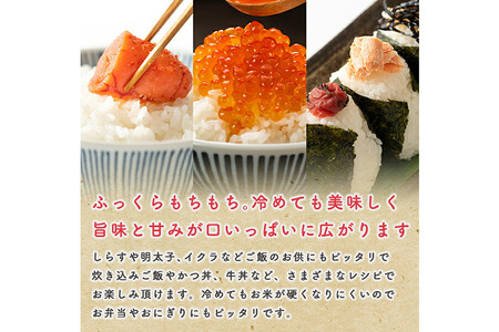 《定期便7ヶ月》【新米】 あきたこまち 長期保存米 5kg【無洗米】令和7年産 秋田県産 こまちライン