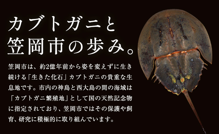 レザー 革製 カブトガニ 幼生 タックピン 革 ブラウン JS stage株式会社 《30日以内に出荷予定(土日祝を除く)》岡山県 笠岡市 ハンドメイド ファッション イタリアンレザー
