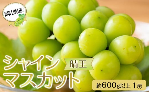 岡山県産 ぶどう 2025年発送  シャインマスカット 晴王 600g以上 1房 種無し｜フルーツ 果物 くだもの ぶどう ブドウ シャインマスカット 晴王 種なし 国産 岡山県産 食品 人気 おすすめ 先行予約 送料無料 ギフト 贈り物 贈答品 プレゼント 果物 くだもの フルーツ ぶどう ブドウ シャインマスカット 晴王