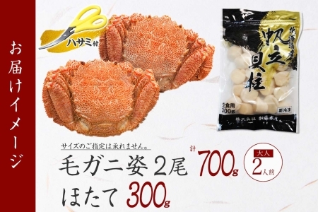 2029. 毛蟹 2尾 計700g前後 ホタテ 300g 専用ハサミ・食べ方ガイド付き 毛ガニ 毛がに 蟹 カニ カニ味噌 ほたて 帆立 貝柱 海鮮 ボイル 北海道 弟子屈町