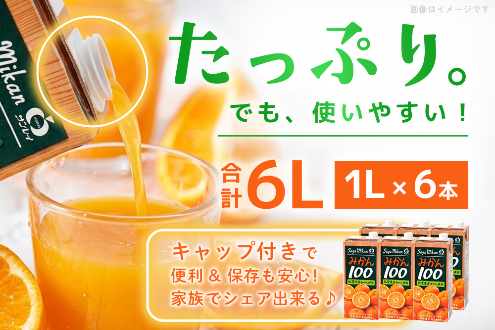みかん100 1L×6本入り【みかんジュース 蓋付 天然 果汁100％】(H116228)