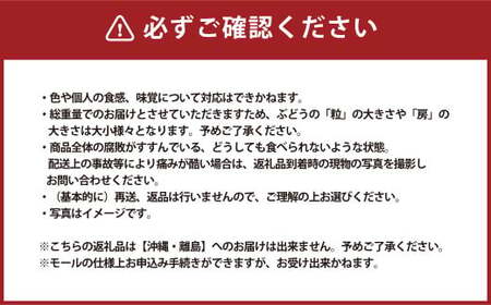 シャインマスカット 1房 計700g 【2025年9月下旬～10月上旬発送予定】 マスカット ぶどう 葡萄 ブドウ 種なし