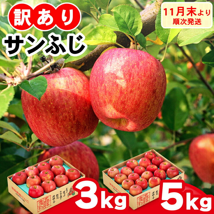 【ふるさと納税】家庭用りんご サンふじ 見た目にわけあり 味はそのまま｜令和7年産 2025年産 青森 津軽 つがる りんご リンゴ 林檎 サンフジ 訳あり 訳アリ 果物 旬 青森りんご [0838-0839]