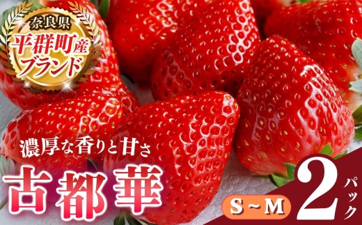 いちご 平群の古都華 S～Mサイズ （2パック×1ケース）計2パック 阪野農園 | 先行予約 フルーツ 果物 くだもの ブランド いちご 苺 古都華 ことか 甘い 大人気 満足 希少 希少品種 ストロベリー 美味しい 品種 特徴 糖度 3月 4月 発送 旬 送料無料 濃厚 香り 果汁 味わい深い お取り寄せ 産地直送 農家直送 名産地 奈良県 平群 町