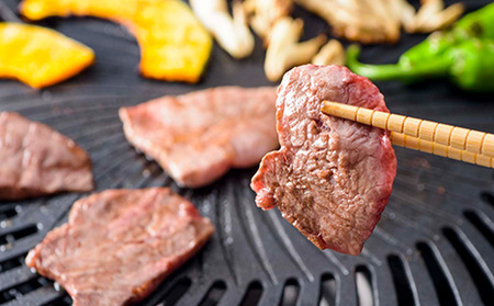 【定期便3回】もとぶ牛モモ焼肉(自宅用)500g 県産和牛 黒毛和牛 国産 牛肉 牛 ブランド 和牛 人気 オススメ おすすめ グルメ 贅沢 高級 3等級以上 お取り寄せ 贈答用 美ら海 定期便 沖縄