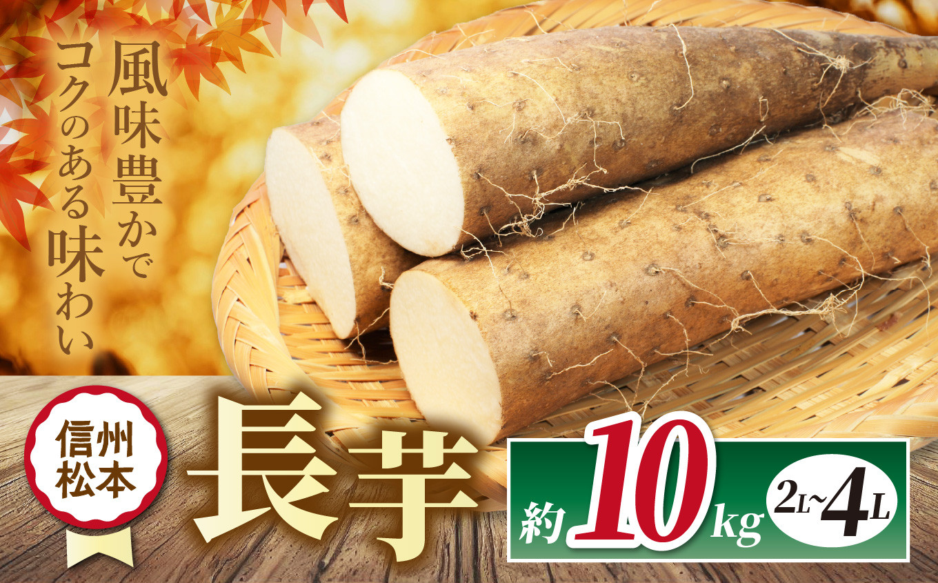 
            【先行受付】長芋 2L～4L 約10㎏｜ふるさと納税 松本市 長芋 長いも 料理 自然 芋 ビタミン 豊富 地元 新鮮
          