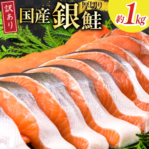 訳あり 国産 減塩 厚切り 塩銀鮭 切身 計 1kg [足利本店 宮城県 気仙沼市 20565949] サーモン 鮭 さけ サケ シャケ 魚 海鮮 魚介 甘塩味 規格外 不揃い 鮭切身 切り身 個包装 家庭用 訳アリ 塩分控えめ 冷凍