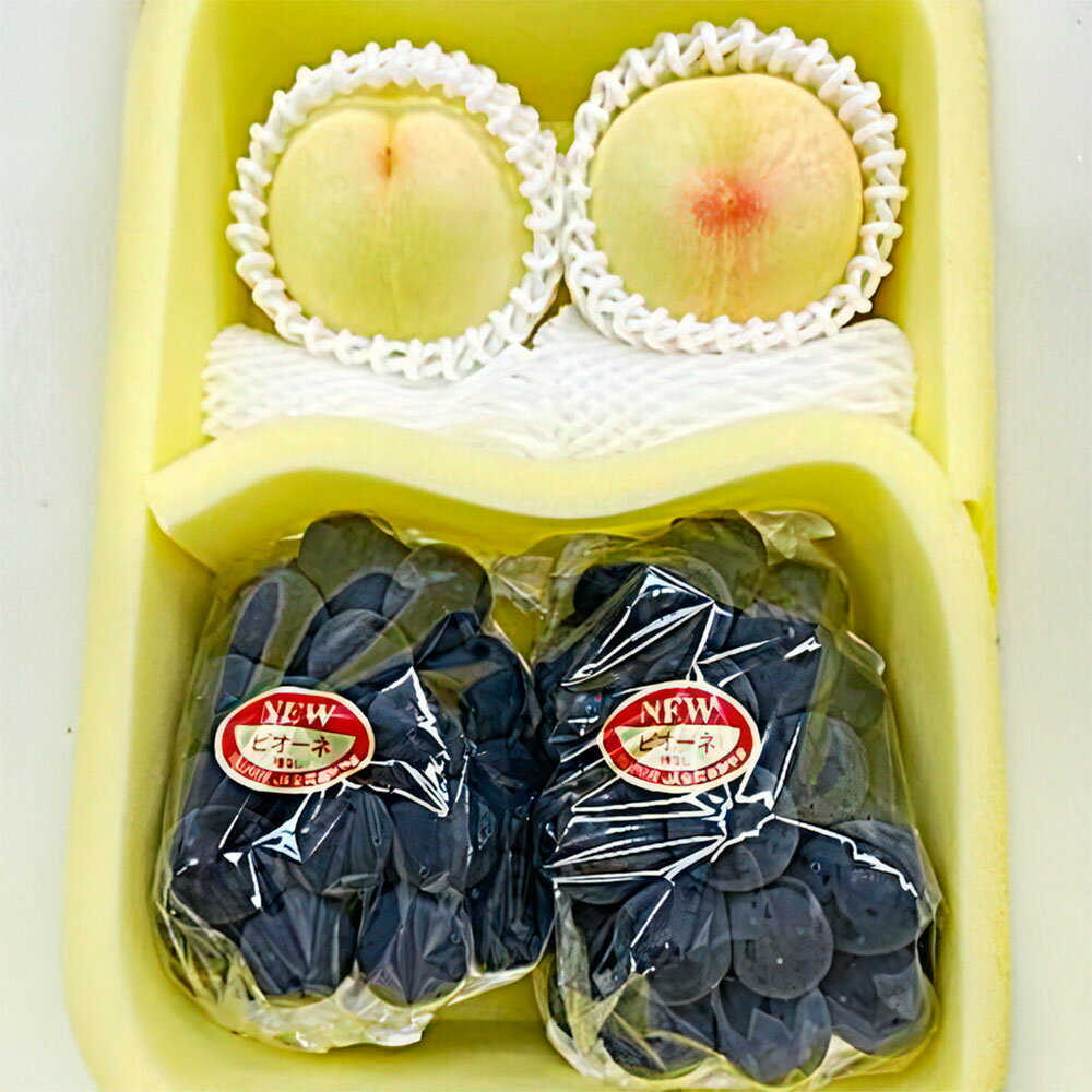 【ふるさと納税】桃 ぶどう 先行予約 果物詰合せ 白桃 2玉（1玉200g以上）・ ニューピオーネ 2房（合計約940g） 化粧箱入り | 岡山県産 国産 フルーツ 岡山県産 贈答用 果汁 甘い 酸味 岡山県 倉敷市 送料無料 【2026年7月上旬～8月上旬迄順次発送予定】