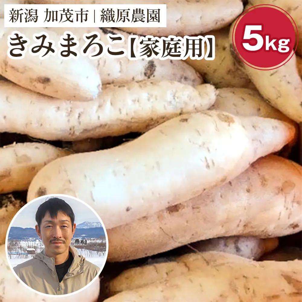 【家庭用】新潟県 加茂市産 きみまろこ 5kg 《11月上旬～順次発送》 さつまいも サツマイモ 熟成 甘い 芋 焼き芋 天ぷら スイートポテトに！ 加茂市 織原農園 