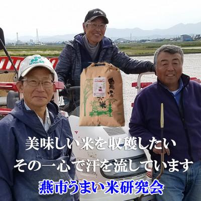 ふるさと納税 燕市 【令和7年産新米 先行予約】おかずのいらないコシヒカリ「つばめ返し」玄米 20kg