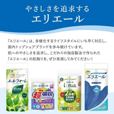 ふるさと納税 可児市 エリエールティシューソフトパック160W8P×10パック |  | 03