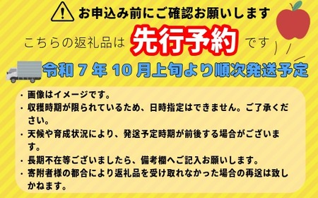 【先行予約】秋映（あきばえ）【約10ｋｇ(24〜36玉)】(7-A23-3)