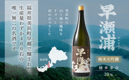 早瀬浦 限定品【数量限定】冷温熟成 早瀬浦 純米大吟醸 1800ml（熟成酒）【入手困難 日本酒 福井 おすすめ 地酒 美浜 早瀬 フルーティ 男酒 硬水 ミネラル 希少 ギフト プレゼント 贈答 山