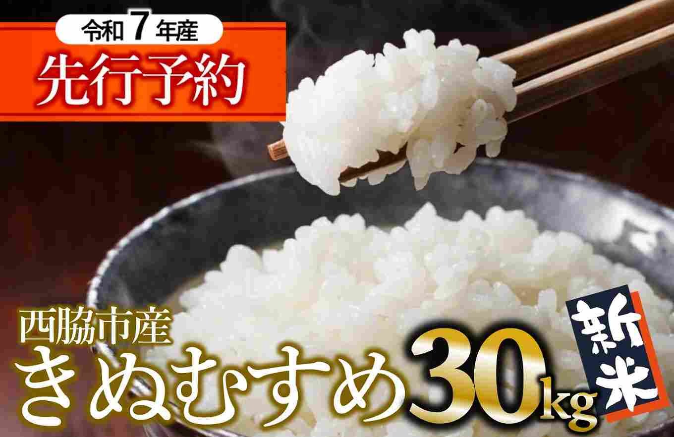 
            【新米先行予約】きぬむすめ 30kg 白米 令和７年産 (99-12) 米 お米 こめ コメ 人気 西脇市産 精米
          