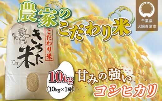 【令和7年産】千葉県 大網白里市産 こだわり米（コシヒカリ）10kg（10kg×1袋） お米 10kg 千葉県産 大網白里市 コシヒカリ 米 精米 こめ 送料無料