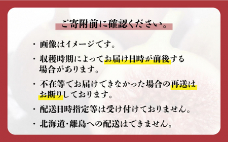 【2024年9~10月発送】フルーツ先行予約！ 福岡オリジナル品種 いちじく 「とよみつひめ」約1.2kg＜一般社団法人地域商社ふるさぽ＞那珂川市  12000 12000円 [GBX026]