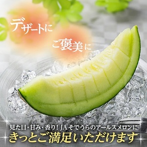 SA2714　アールスメロン 大玉　3.6kg以上(2玉入) つる付き