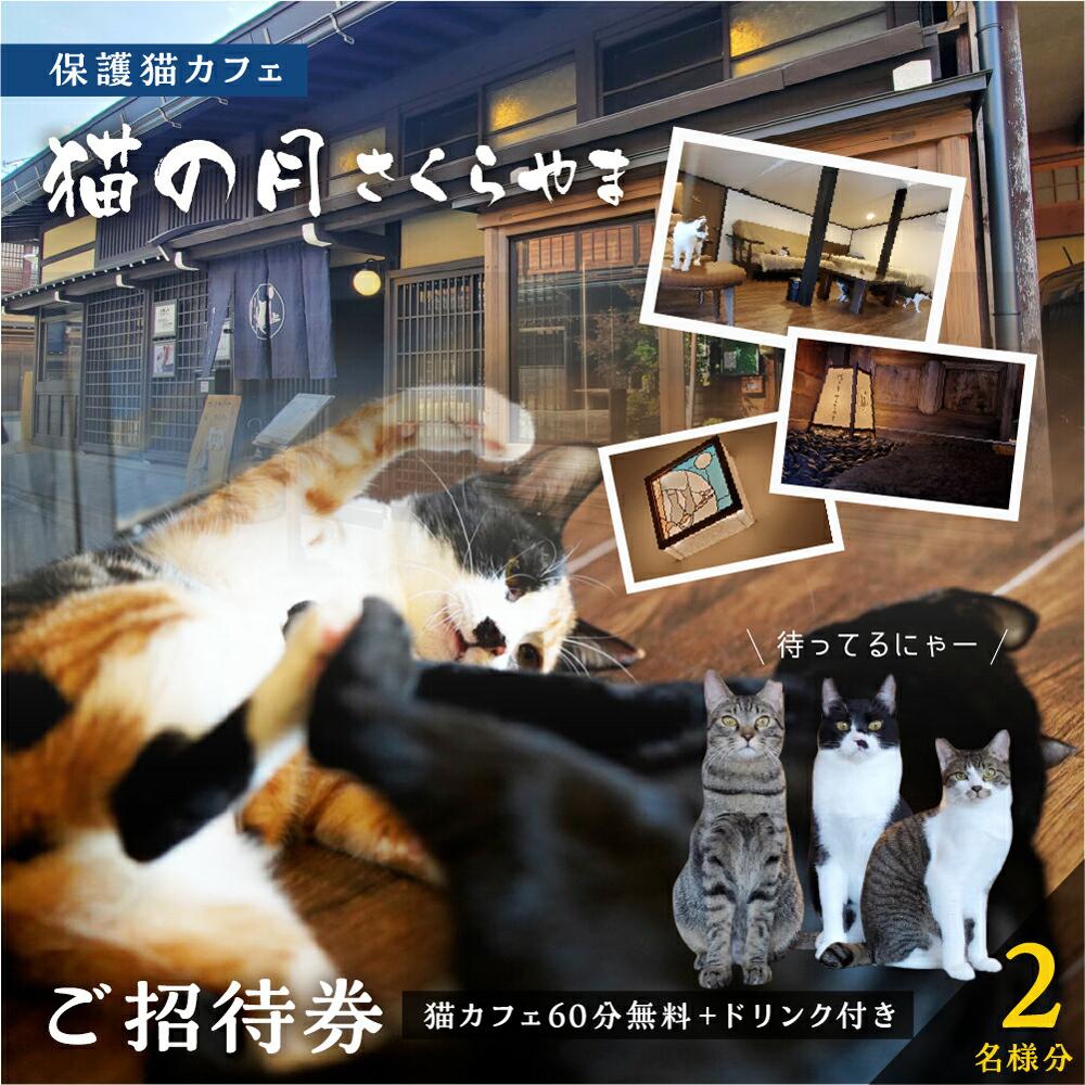 【ふるさと納税】猫の月さくらやまご招待券2名様分（猫カフェ60分無料＋ワンドリンク付き）　ネコカフェ チケット 猫 ねこ ドリンク付き 古民家カフェ 保護猫 猫の月 さくらやま TR4600