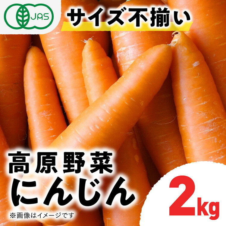【ふるさと納税】【有機JAS認定】にんじん（紅奏）2kg サイズ不揃い ｜ 愛媛県 久万高原町 てんねん農園 オーガニック 有機栽培 有機 JAS 有機野菜 人参 ニンジン ニンジンジュース 高原野菜 産地直送 ※離島への配送不可 ※2025年12月上旬～2026年2月上旬頃に順次発送予定