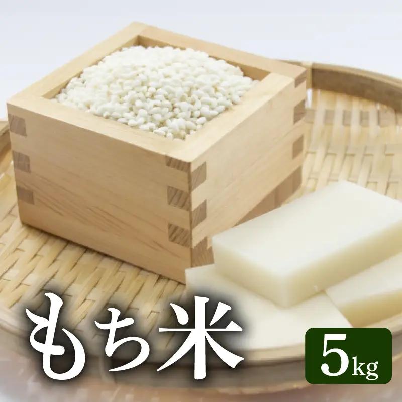《令和8年産》モチ米 5kg こめ コメ おこめ 精米 お米 ごはん おコメ AS003