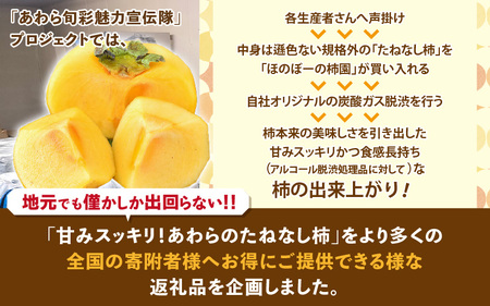 【先行予約】【訳あり】 甘みすっきり！あわらのたねなし柿 約8kg（32個～40個）（ご家庭用）／ 果物 フルーツ 産地直送 期間限定 ※2025年10月中旬以降準備出来次第発送 [aw031-a00