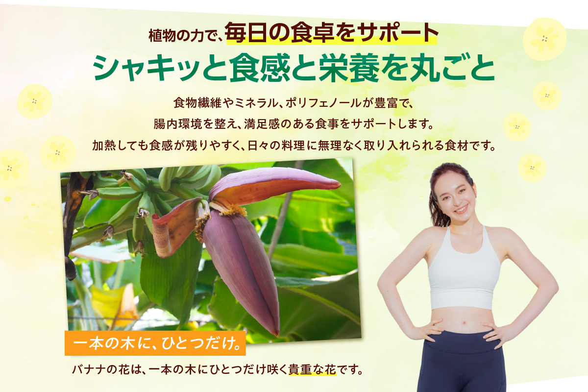 バナナの花　1個（300g以上） | バナナ ばなな 花 果物 フルーツ バナナハート 貴重 南国 産地直送 常滑市産 愛知県産 国内産 健康 就労支援 農業 アスナロファーム 農福 農福連携返礼品 