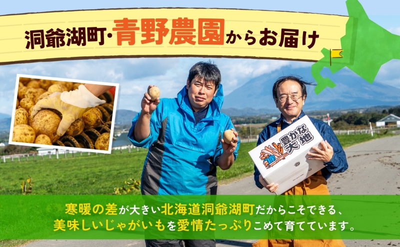 北海道産 青野農園 じゃがいも とうや Lサイズ 約10kg 北海道 ジャガイモ トウヤ 馬鈴薯 ばれいしょ ポテト 芋 いも イモ 黄色 旬 野菜 農作物 産地直送 お取り寄せ 送料無料