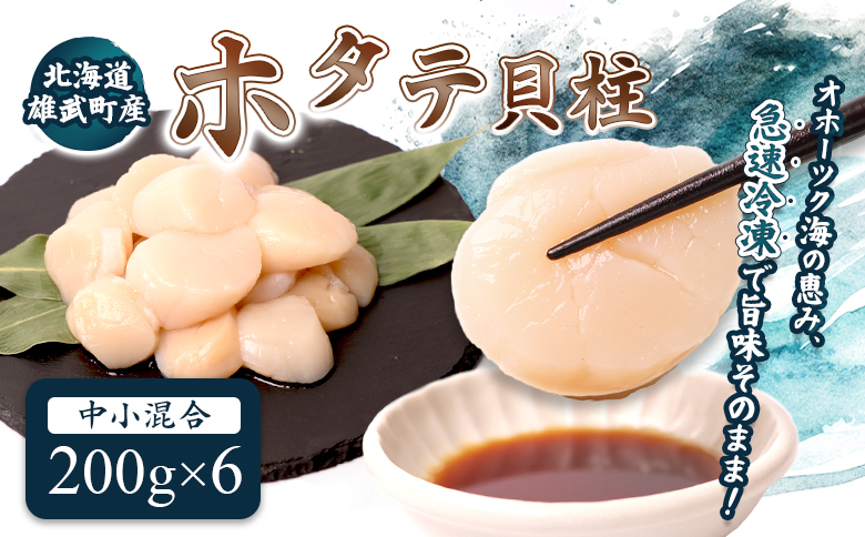 北海道雄武町産ほたて貝柱 中小混合 200g×6 (冷凍) 使い切りパック【0713502】