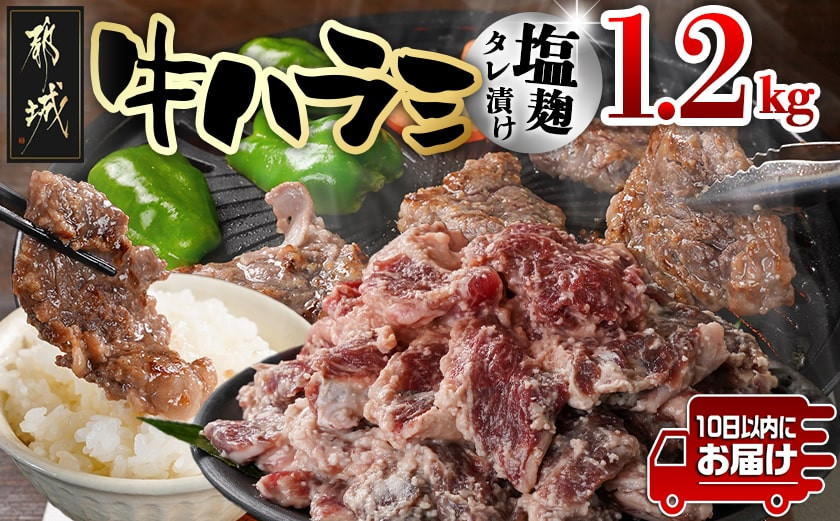 
                  牛ハラミ 塩麹タレ漬け1.2kg≪みやこんじょ特急便≫_12J-33-025-1200g-Q_(都城市) 味付き牛ハラミ 300g×4パック 真空 小分け 1200g
                