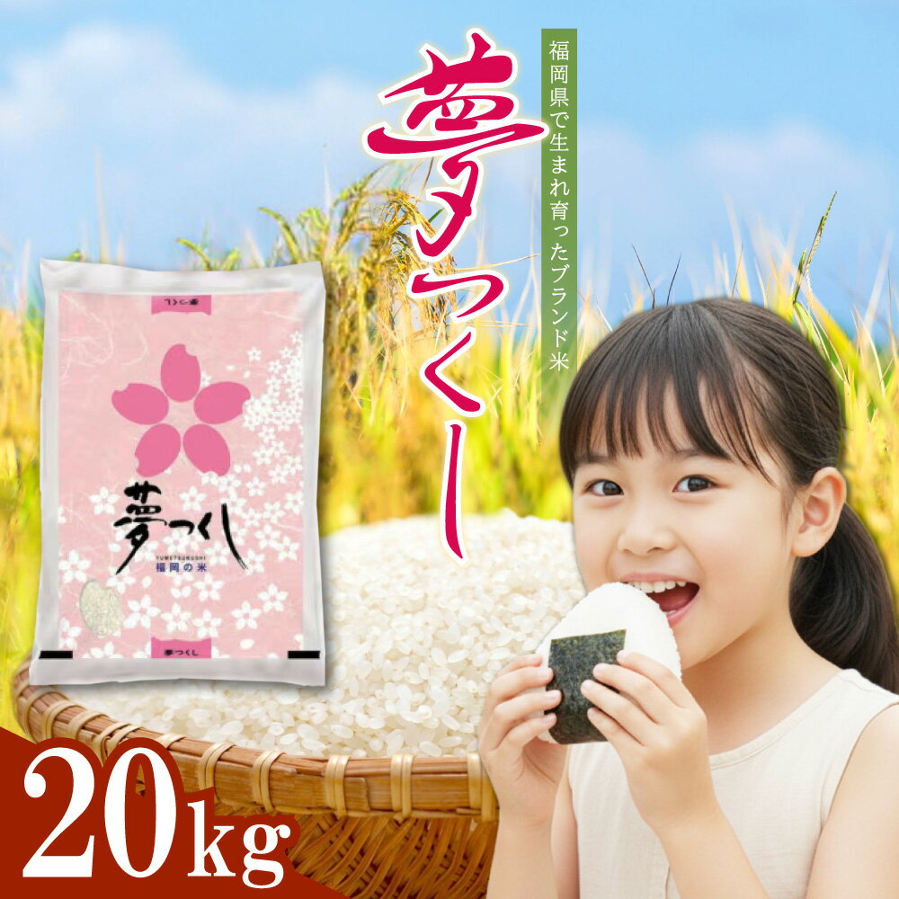 【ふるさと納税】 福岡県産 ブランド米 夢つくし(精米) 20kg お米 こめ ゆめつくし 米 福岡県 東峰村 　4J4