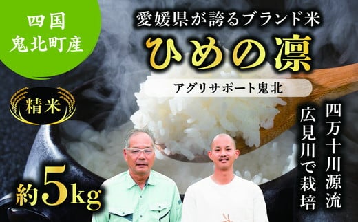 【先行予約】【令和7年度産新米】ひめの凛 約5kg （精米済み） | 精米 お米 米 白米 人気  ブランド ランキング 産地直送 愛媛県 鬼北町 四国 国産 内祝い お祝い アグリサポート鬼北　※離島への配送不可　※2025年11月頃より順次発送予定
