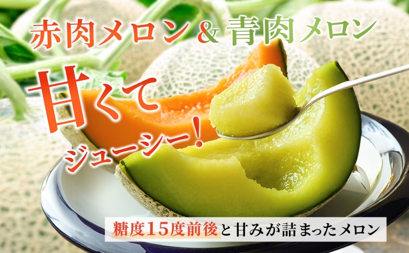 北海道産 有珠メロン 2玉 セット 赤肉 青肉 Lサイズ 1.6kg以上 各1玉 食べ比べ ツル付き 果物 めろん フルーツ くだもの 完熟 旬 ご褒美 ギフト お祝い 産地直送 お取り寄せ 北海道 