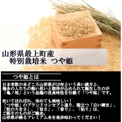 ふるさと納税 最上町 【先行受付】令和8年産　特別栽培米つや姫　玄米 20kg　山形県産　西塚農場のお米 |  | 01