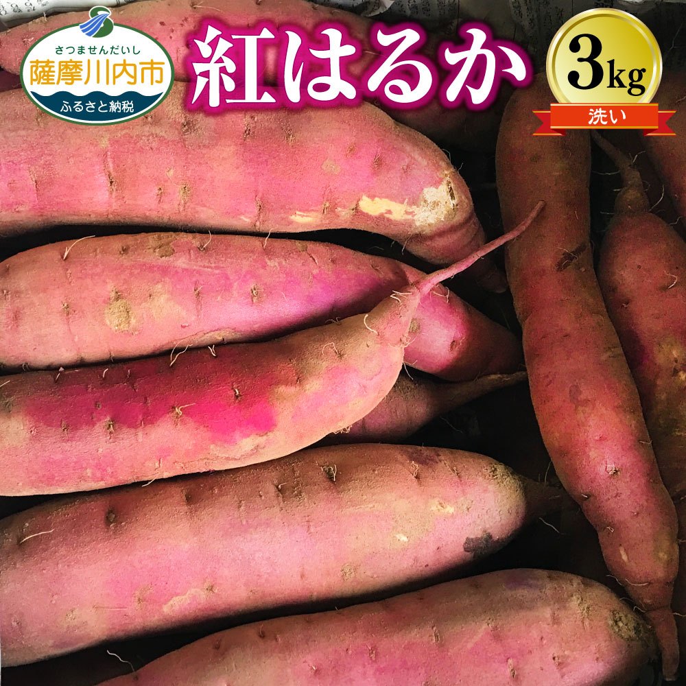 【ふるさと納税】ママたちの想いをギュッ！薩摩で育てたさつまいも（紅はるか）洗い 3kg 小 【農家直送】 ZS-635 べにはるか 熟成 蜜芋 お試しサイズ 3kg 焼き芋 小さめサイズ さつまいも サツマイモ 薩摩芋 芋 吉永農園 鹿児島県 薩摩川内市 送料無料