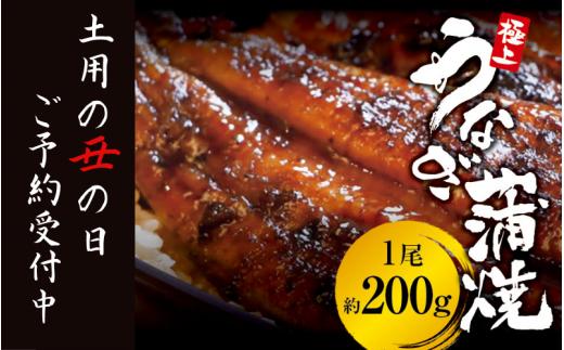 【土用の丑の日】予約受付中！極上 国産うなぎ蒲焼 1尾（約200g） 創業100年以上続く老舗 紀州備長炭でじっくり焼き上げた専門店の味 （タレ・山椒付き）/ うなぎ ウナギ 鰻 蒲焼 国産 ふるさと納税 先行予約【skr001A-dy】