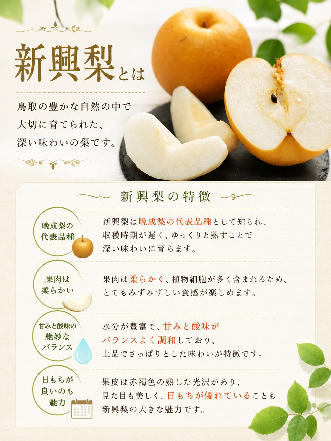 有梨の実石田 新興梨 進物5kg 【鳥取県 境港市】
