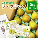 【ふるさと納税】西洋梨（ラ・フランス）5kg 10〜20玉 ご家庭用 山形県 上山市 0079-2436