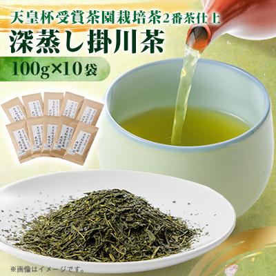 ふるさと納税 掛川市 【新茶先行受付】天皇杯受賞茶園栽培茶2番茶仕上　深蒸し掛川茶100g×10袋