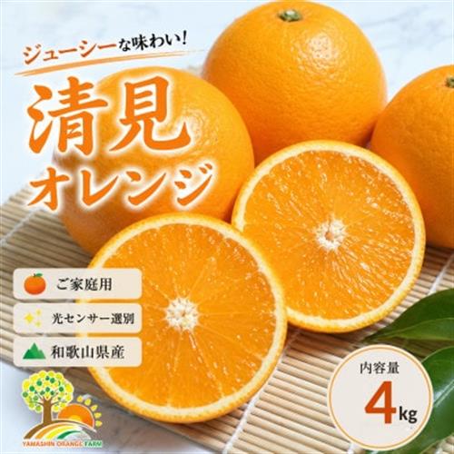 清見オレンジ みずみずしい果汁 約4kg (SS～2L混合サイズ) (nuk011-r-4)【1755419】