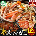 【ふるさと納税】 年内配送 12月15日まで受付 2995. 本ズワイガニ 蟹しゃぶ ビードロ セット 800g 2個 4-6人前 生食可 ズワイガニ ズワイ ずわい蟹 ずわいがに カニ 蟹 かに 棒肉 カニ爪 蟹足 生 生食 刺身 ギフト 送料無料 北海道 弟子屈町